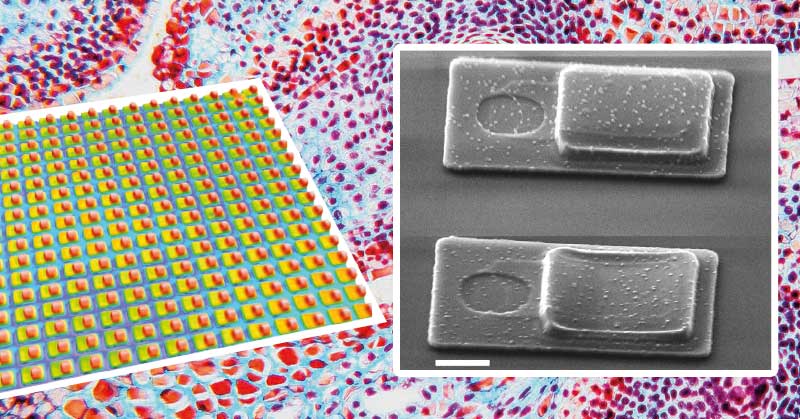 measuring membrane deflection