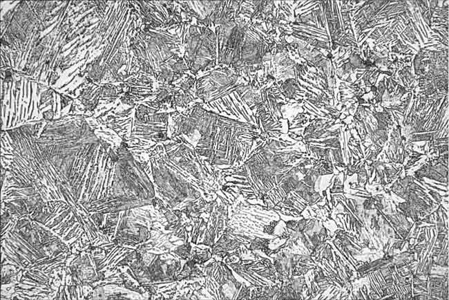 500x Bright-Field Image of Non-Hardened Bulk Steel After Etching