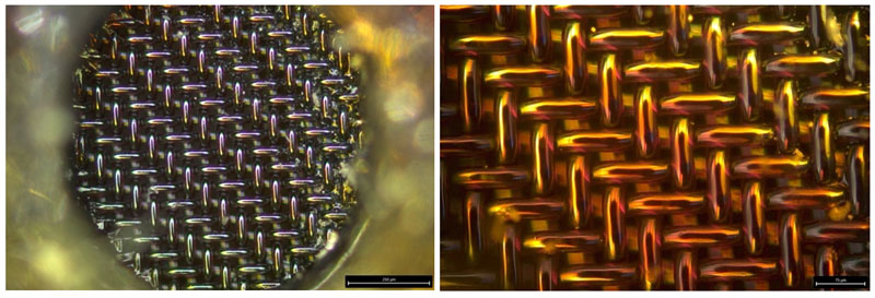 Smartphone microphone mesh under a microscope