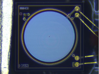 Microphone MEMS Device–Die