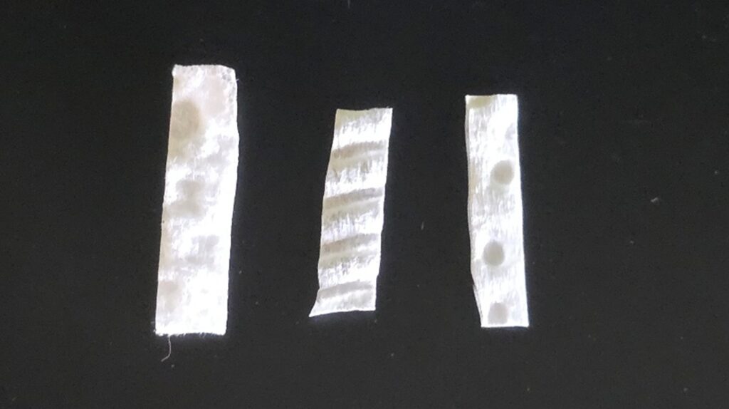 Prepared specimens