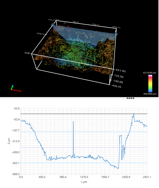 Bounty Brand 3D scan with profile measurement